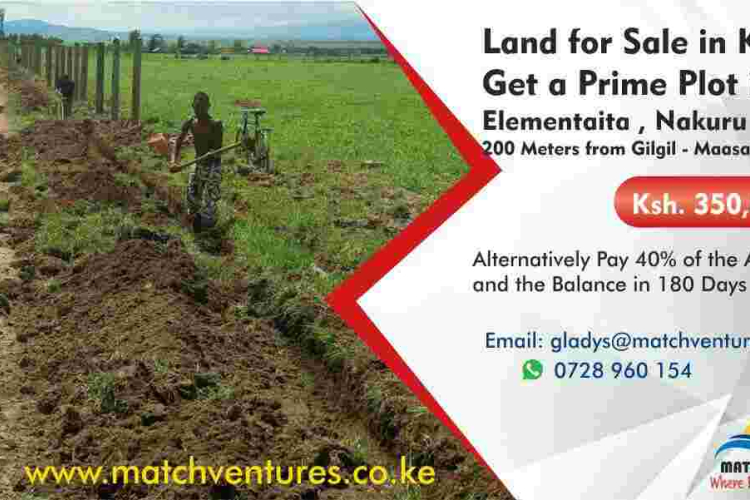 Match Ventures: Prime Plots for Sale in Elementaita, Nakuru 