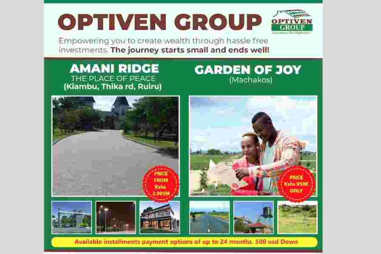 Diaspora Has Great Choices on Counties to Invest in Kenya