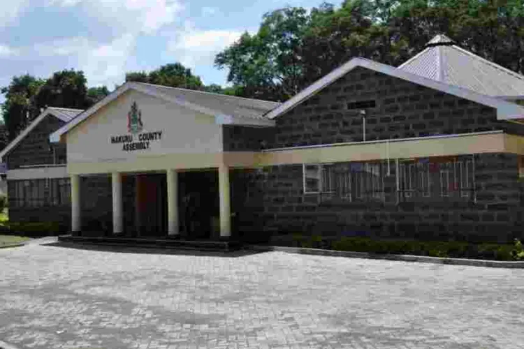 Drama at Nakuru County Assembly as Two Female MCAs Exchange Blows over a Boyfriend