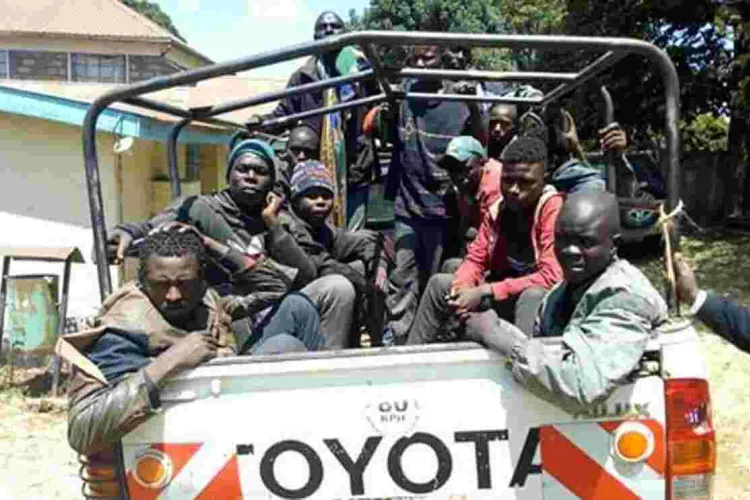 Nakuru County Gov’t on the Spot for Allegedly Arresting, Dumping Street Children in Forest