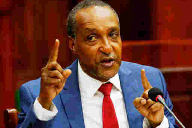 Arrogance? Foreign Affairs PS Macharia Kamau Refuses to Apologize for Insulting Kenyan Woman