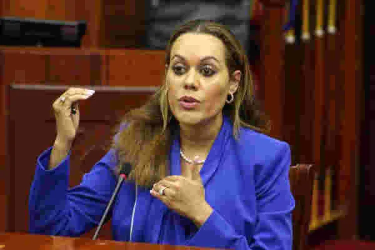 Diaspora Lobby Blasts Kenyan MPs for Forcing Mwende Mwinzi to Renounce US Citizenship
