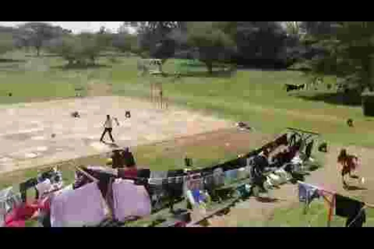 [WATCH] Baboons Invade Multimedia University in Nairobi, Chase after Students 