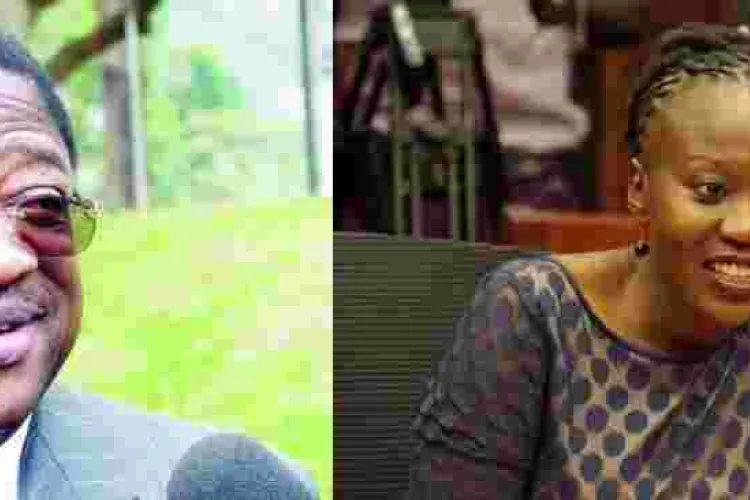 Roselyn Akombe Reminds Senator Amos Wako Why He was Banned from the US