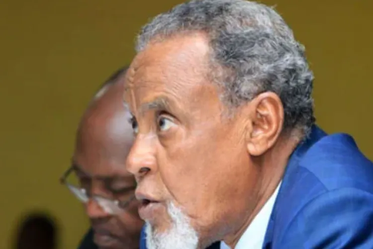 Kenyan Diaspora Makes Radical Proposals to BBI Taskforce