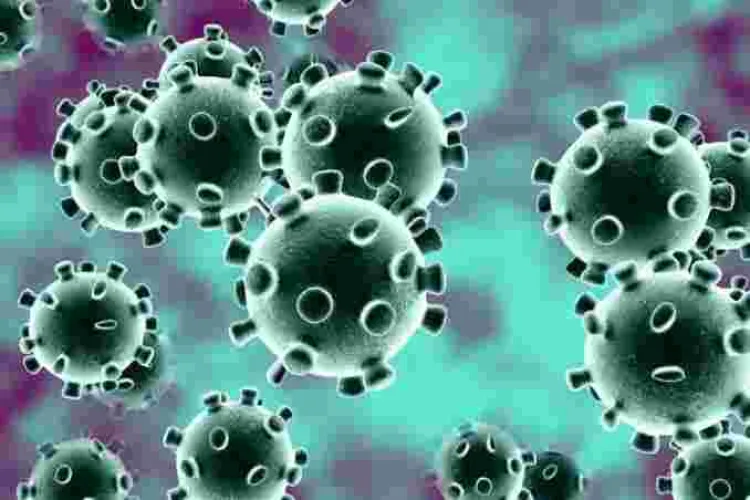 France Records 800 New Coronavirus Cases Within 24 Hours
