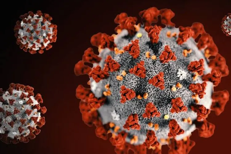Africa's First Coronavirus Death Recorded in Egypt