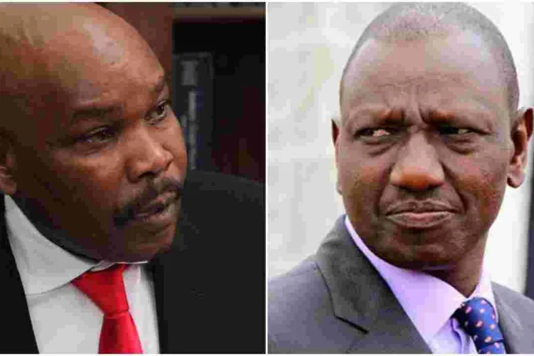 US-Based Lawyer Prof. Makau Mutua Slams Ruto for Cowering 'Under the Bed in Karen'