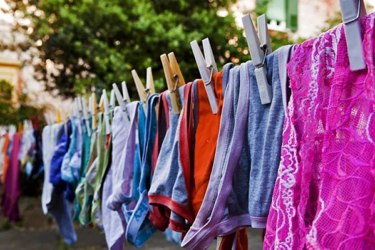 Kenyan Man Pleads Guilty to Stealing His Female Employer’s Panties, to be Sentenced