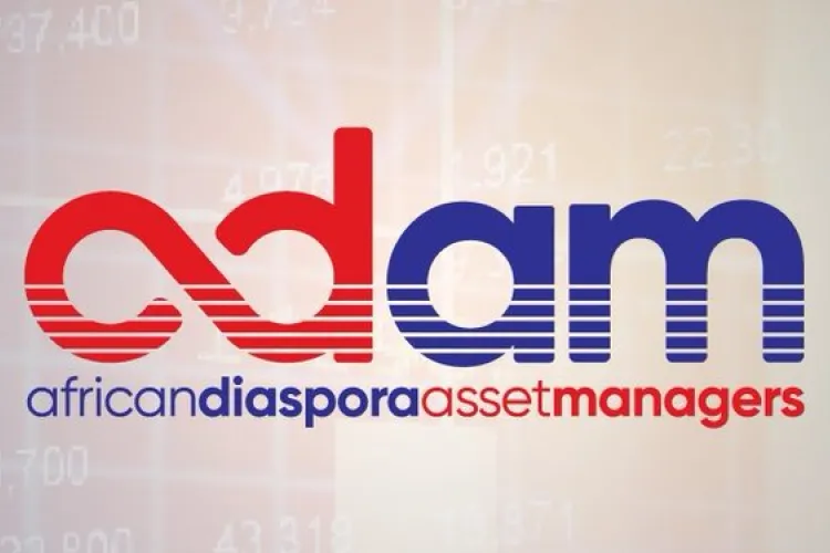 Company Targeting Kenyans in Diaspora Obtains Fund Manager License