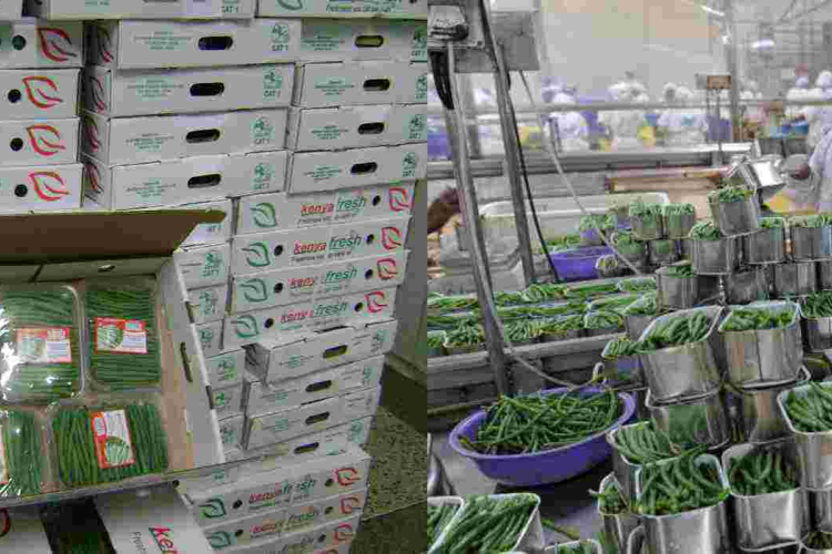 36 Kenyan Fruits and Vegetables Companies Bag Sh235 Million Orders in Virtual Italian Trade Fair