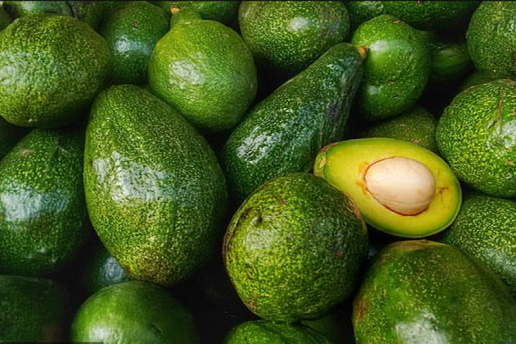UK Giant Supermarket Tesco Suspends Avocados from Kenyan Farm After Claims of Human Rights Abuses 