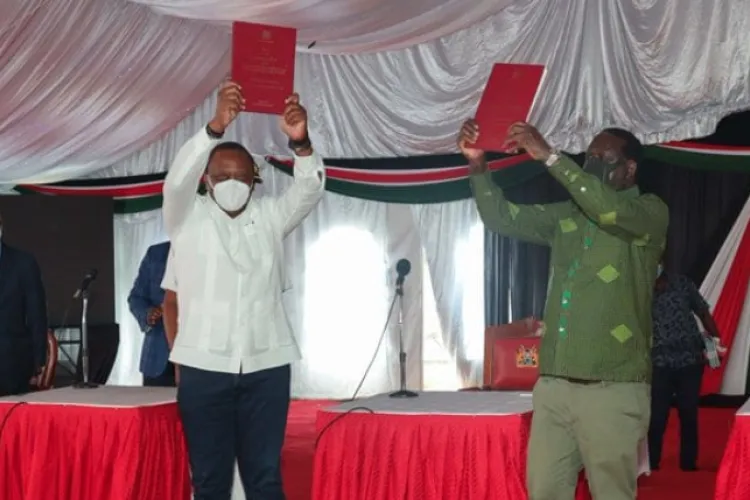 Say No to BBI Referendum, Lobby Group for Kenyans in the Diaspora Asks Voters 