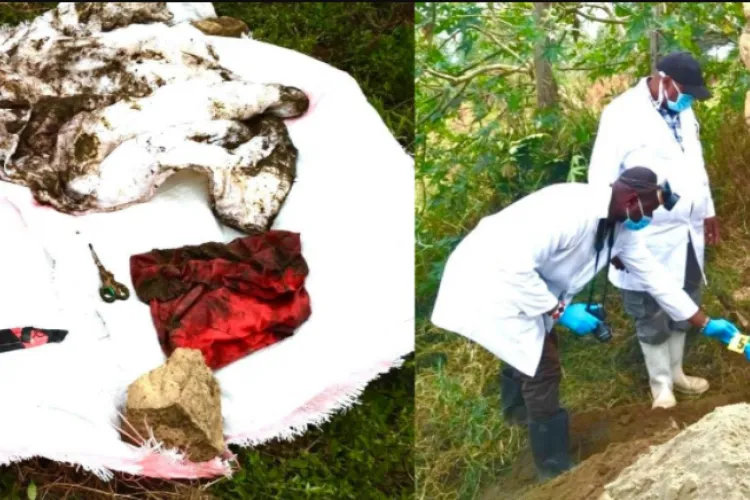 Son of US-Based Man Whose Family Was Wiped Out in Kiambu Helps Police Recover Murder Weapons 