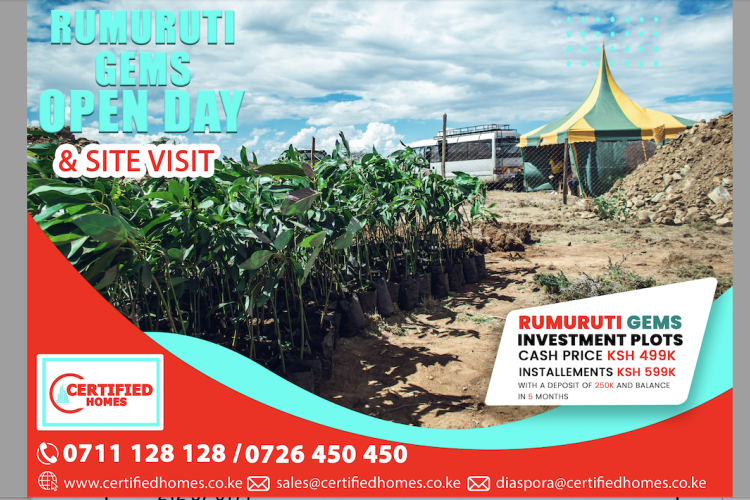 Affordable Investment Plots Available