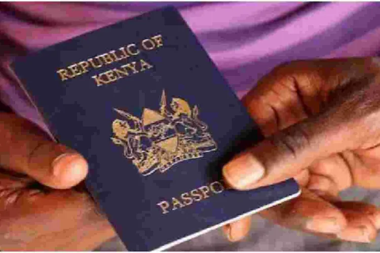 Kenya to Give Citizenship to Wealthy Foreign Investors in New Plan 