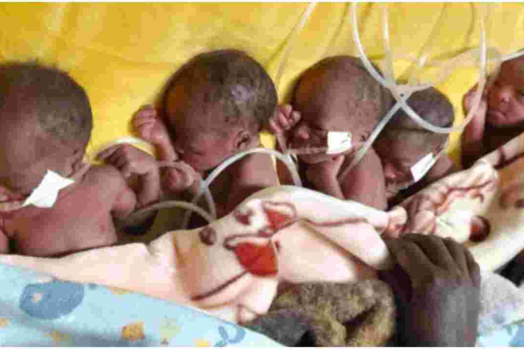 Kenyan Man Seeks Help from Well-Wishers as Wife Gives Birth to Five Babies 