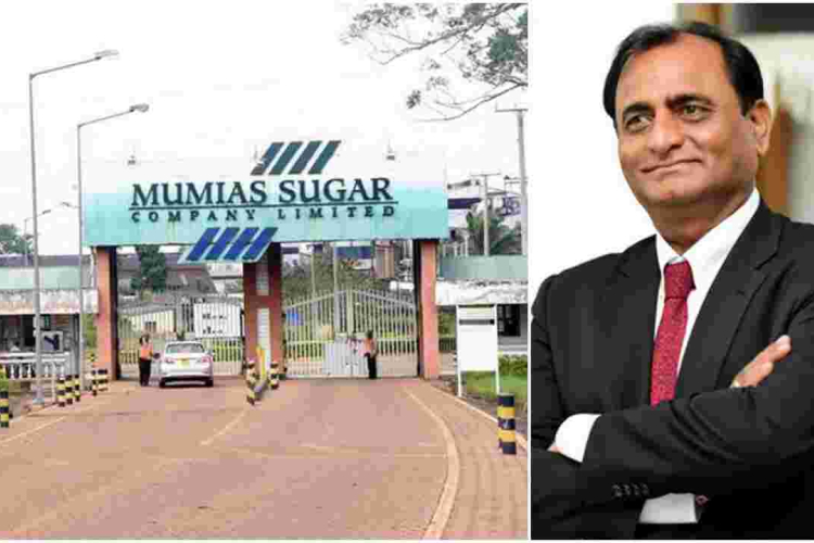 Billionaire Narendra Raval Bids Sh5 Billion to Revive Mumias Sugar 