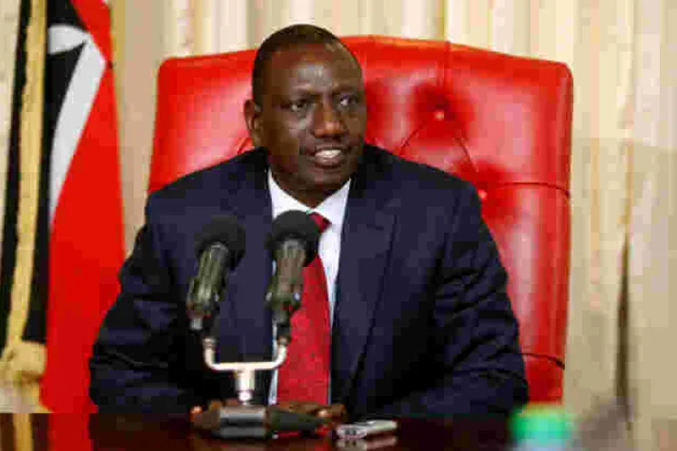 Deputy President William Ruto Lists Areas Where Kenyans in the Diaspora Should Invest In 