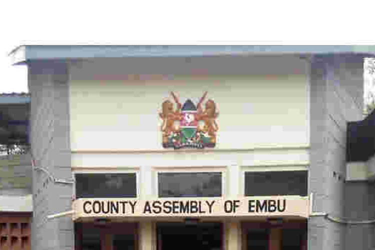 Embu MCAs Fly to Tanzania to Learn Etiquette and Campaign Language