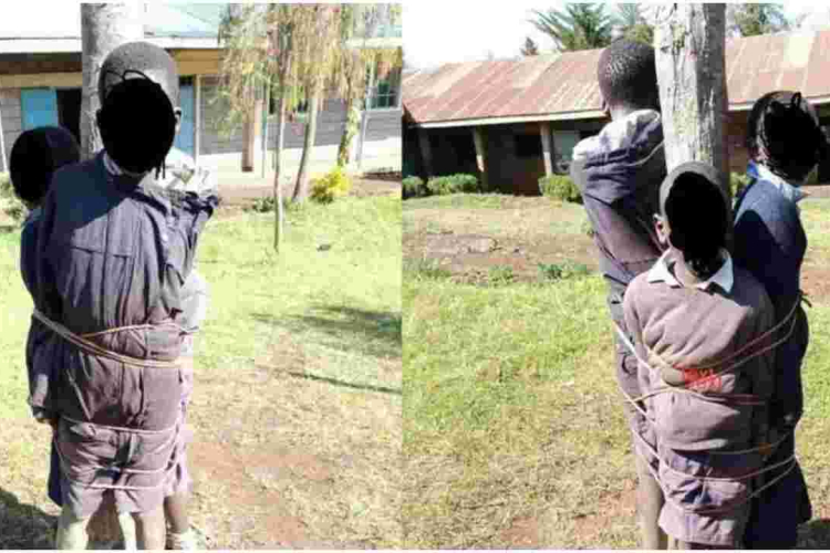 Headteacher and His Deputy in Trouble for Allegedly Tying Pupils on a Tree as Punishment 