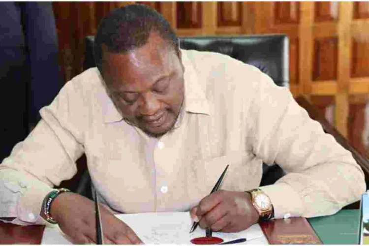 Kenyans with Dual Citizenship Locked Out of Diplomatic Jobs 