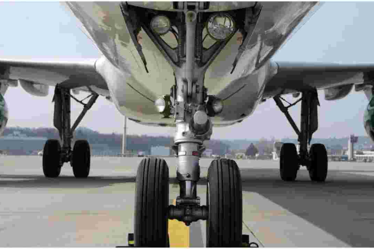 Stowaway Survives 11-Hour Flight from South Africa to Amsterdam via Nairobi 