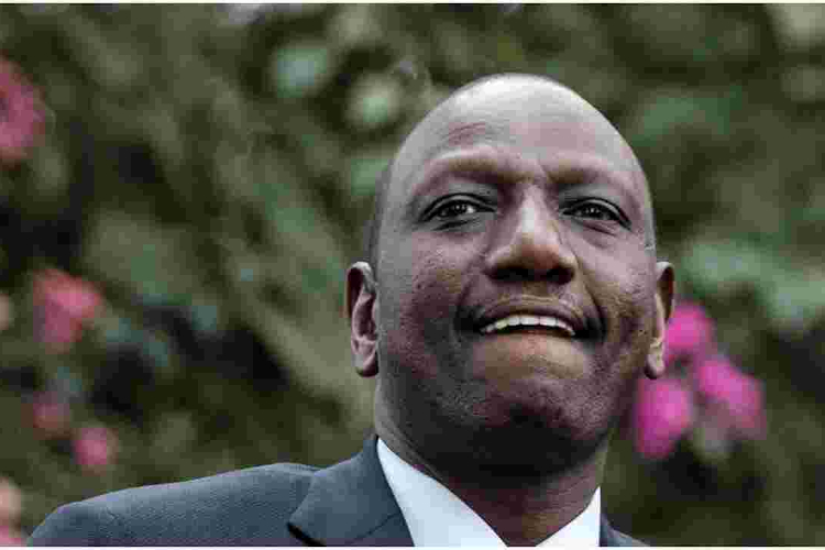 Ruto Bows to Pressure, Apologizes over 'No Cows' in DRC Remarks
