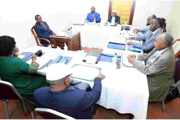 Kalonzo Makes a U-turn, Attends Raila's Running Mate Interview 