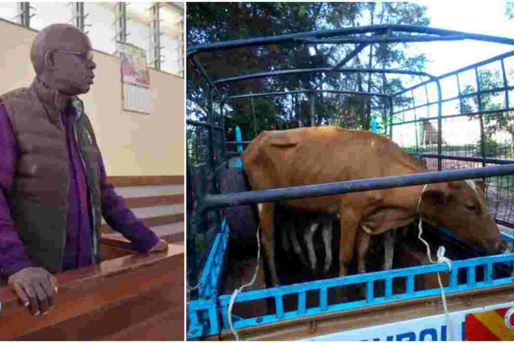 Kenyan Man Gets a Dowry Refund from Former In-Laws Following a Court Order 