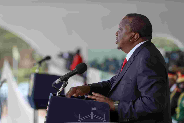 Uhuru Raises a Red Flag Over High Number of Single Parents in Kenya 