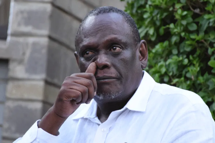 Murathe Urges Raila to Consider Wajackoyah's Proposal to Legalize Marijuana 