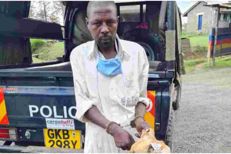Man Caught Hawking Suspected Dog Meat in a Hot Pot in Nyandarua