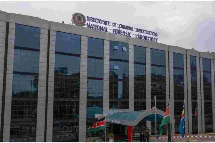 President Uhuru Declares War on 'Tuma kwa Hii Namba' Syndicate