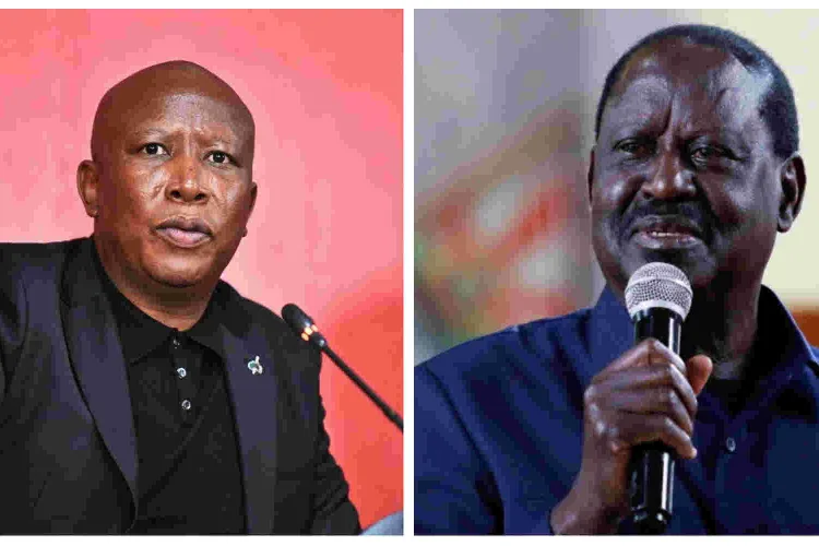 South African Opposition Leader Julius Malema Urges Raila to Concede Defeat