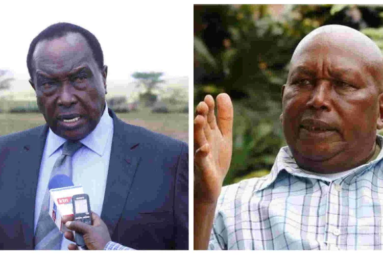 Betrayal? Lee Njiru Backs UDA Candidate Against Moi's Son in Rongai MP Race 