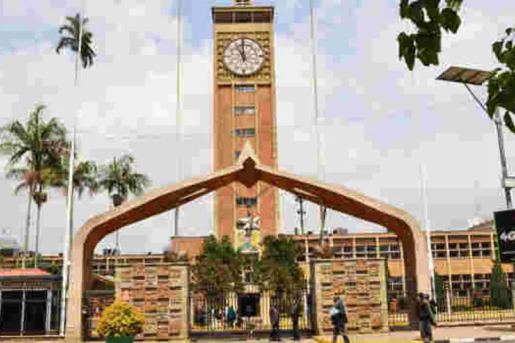 Newly Elected MPs Vow to Push for a Revival of CDF Kitty