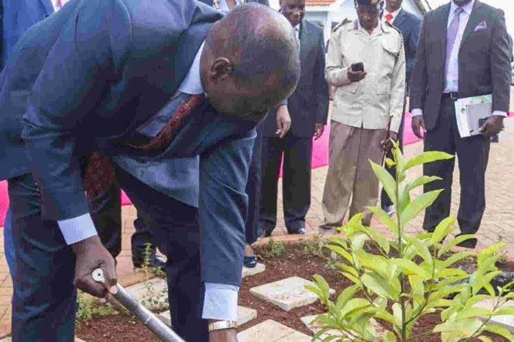 President Ruto Rallies Kenyans to Plant Five Billion Trees to Combat Climate Change 
