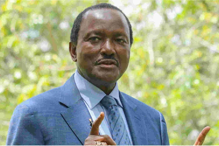 Kalonzo Hits Out at President Ruto, Accuses Him of Dictatorship 