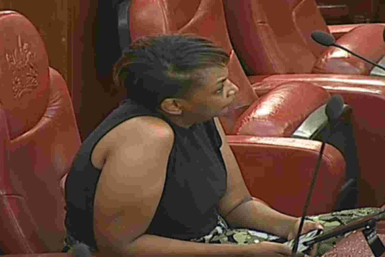 Senator Karen Nyamu Expelled from Senate Chamber over Inappropriate Dressing