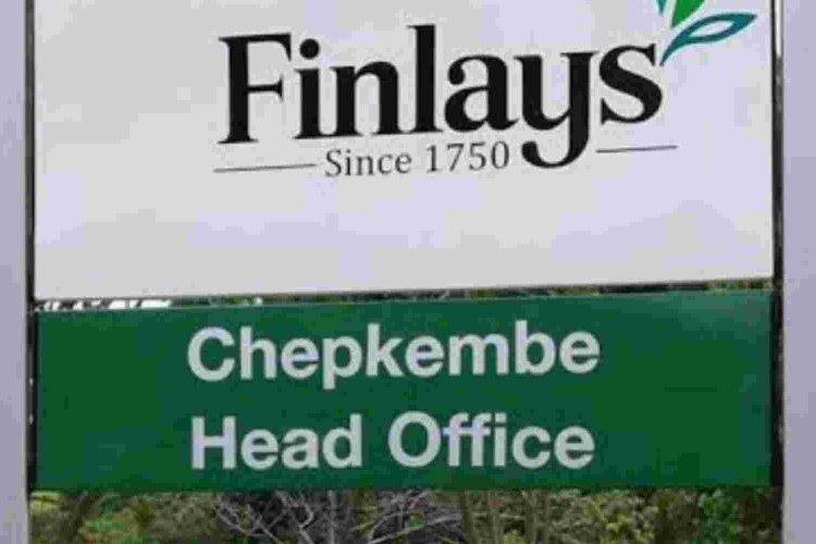 James Finlays Kenya Suspends Two Managers Accused of Sexually Abusing Female Workers