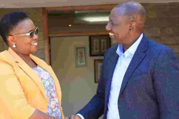 Meru MPs Want County Split Into Two 