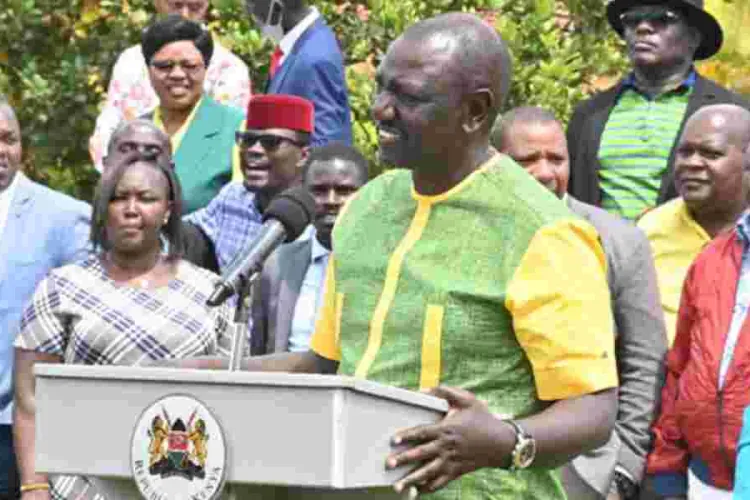 More Pressure at Ruto's Camp as UDA National Vice Chairperson Ditches the Party