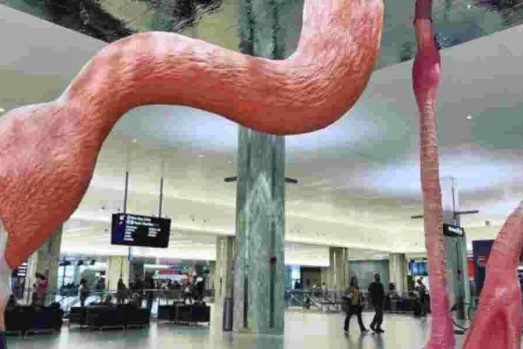 Susan Kihika's Plan to Install Ksh 72M US Airport Sculpture in Nakuru