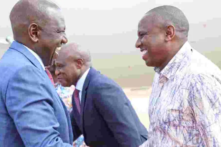 Kimani Ichungwa Discloses Ruto's Plan to Win Support From Anti-Finance Bill MPs