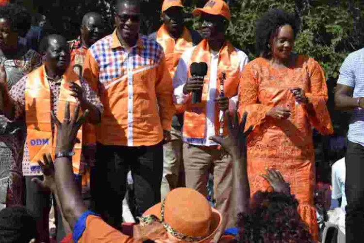 Withdraw Finance Bill, It's Unpopular - ODM MPs Tell State 