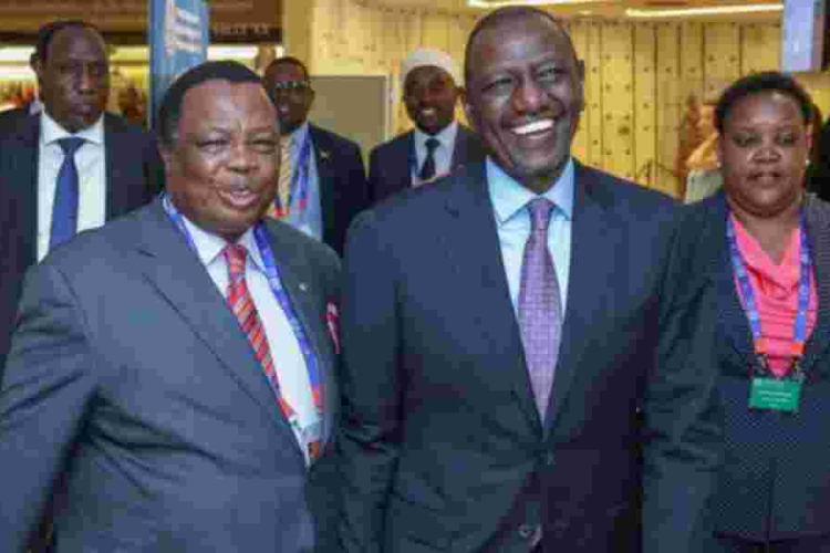 I'm Keen to Create Jobs for Youths, Ruto Tells Diaspora 