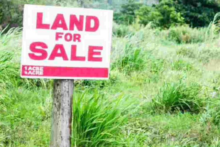What to Do When the Government Acquires Your Land Compulsorily