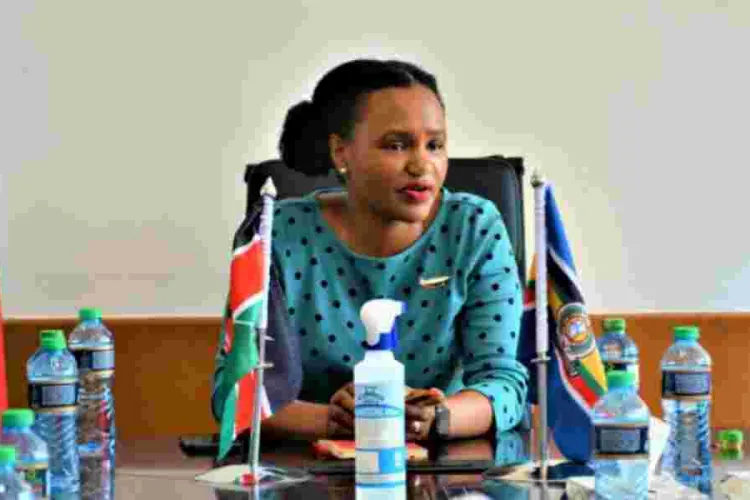 Plans Underway to Evacuate Kenyans Stuck in Israel, Says Diaspora Affairs PS Njogu