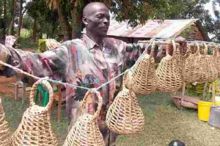 Why Quail Hunting Remains Popular in Western Kenya